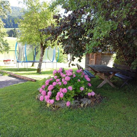 Apartament Eisl Gmunden Zewnętrze zdjęcie